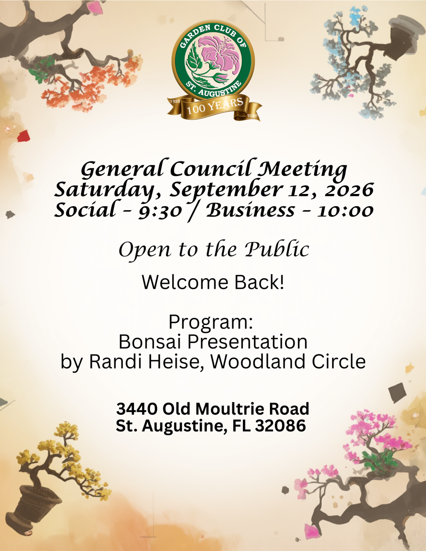 Randi Heise (Woodland Circle) Bonsai Presentation